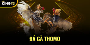 Đá Gà Thomo